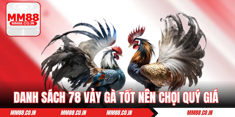 Danh sách 78 vảy gà tốt nên chọi quý giá nhất hiện nay