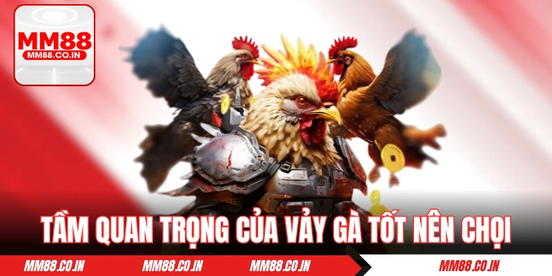 Tầm quan trọng của danh sách 78 vảy gà tốt nên chọi